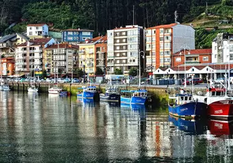 12333_galeria_7775