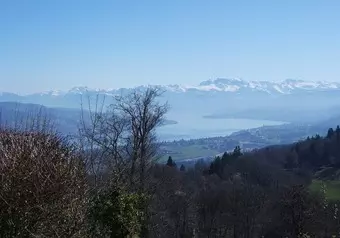 Vista desde Uetliberg