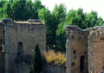 12650_galeria_2710
