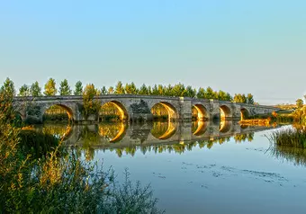 12653_galeria_8290