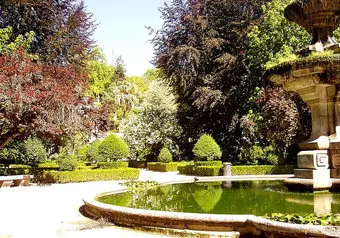 12805_galeria_7915