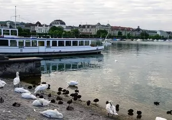 Paseo en barco