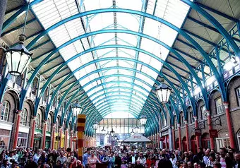 14145_galeria_7035