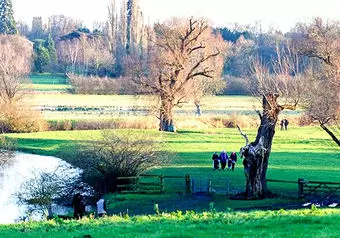 14187_galeria_6628