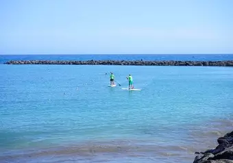 Paddle board