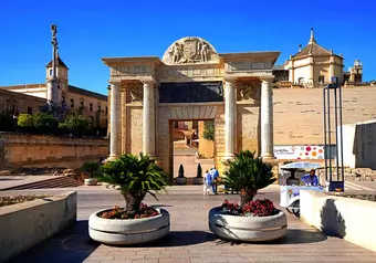 14982_galeria_7443
