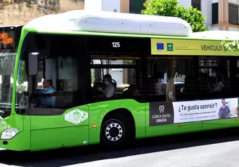 14984_galeria_8213