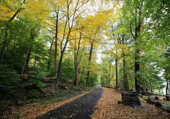 El Long Path y El Shore Trail