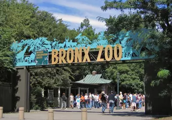 Zoológico del Bronx