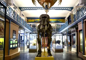 15232_galeria_6238
