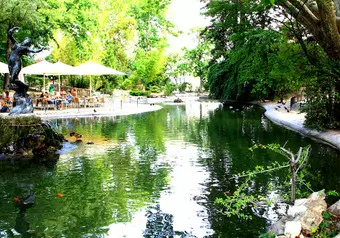 15657_galeria_8923