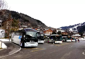 15894_galeria_8597
