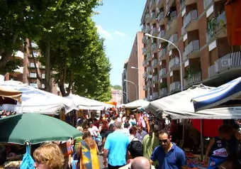15937_galeria_4300