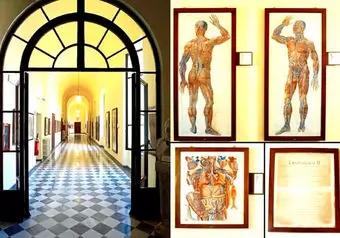 16118_galeria_7585