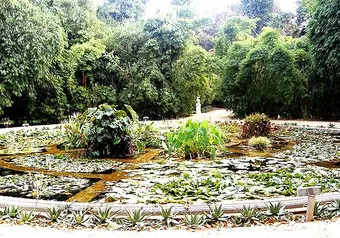 16138_galeria_6760