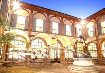 16395_galeria_2831