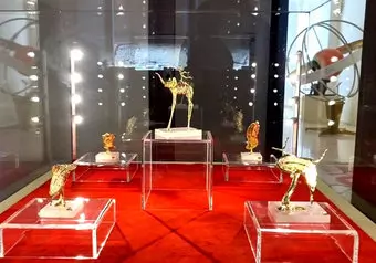 16399_galeria_8185
