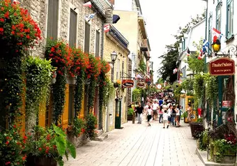 16598_galeria_4415
