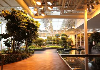 17437_galeria_9656