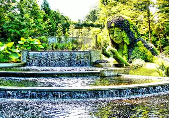 17648_galeria_8542