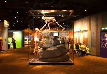 17930_galeria_2684