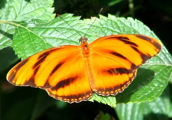 17978_galeria_3642
