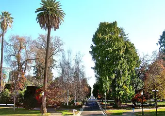 19087_galeria_1852