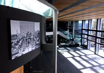 19540_galeria_2339