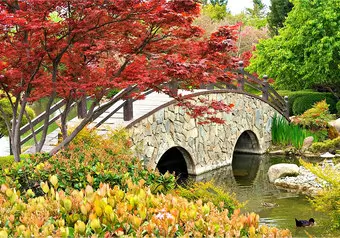 20247_galeria_6045
