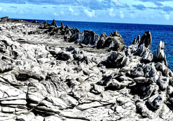 20627_galeria_6468