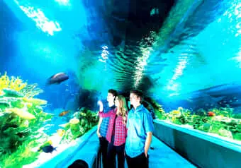 22129_galeria_4050