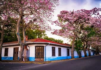 22234_galeria_3328
