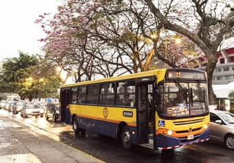 22237_galeria_8405