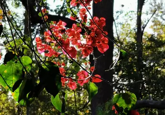 7073_galeria_3370