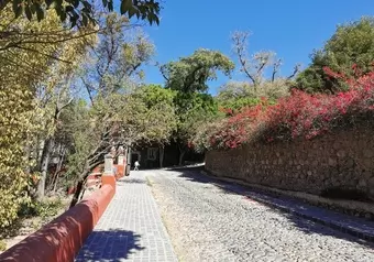 7073_galeria_4906