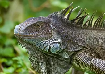 7476_galeria_4010