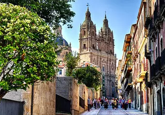 9388_galeria_3459