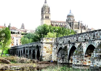 9393_galeria_9138