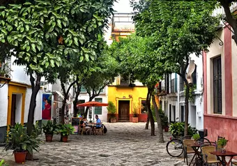 9397_galeria_1445