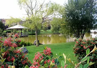 9773_galeria_5450