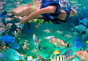 All Fun Inclusive Visita a Xel-ha con opción a Tulum o Cobá_galeria_7131