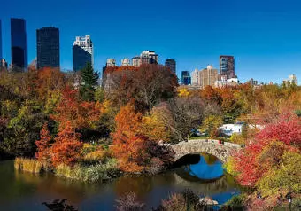 ¡Bienvenidos a New York!_galeria_1338