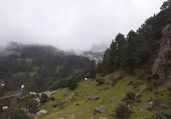 Cuajimoloyas Ecoturismo