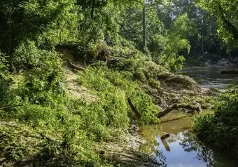 Momorial PArk Houston