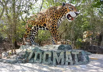 Llegada a Tuxtla Gutiérrez y Visita al Zoomat_galeria_2974