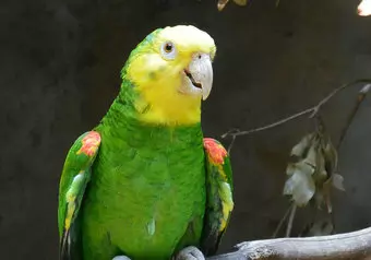 Llegada a Tuxtla Gutiérrez y Visita al Zoomat_galeria_3839