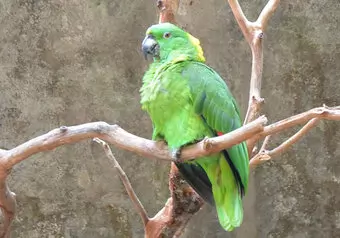 Llegada a Tuxtla Gutiérrez y Visita al Zoomat_galeria_6036