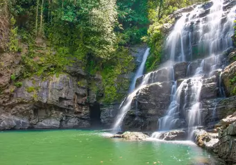 Morning suggested tours in Manuel Antonio_galeria_1168