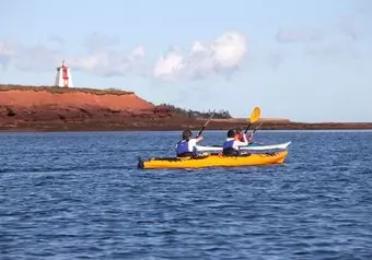 Remando Hacia la Aventura: Kayak en Peakes Quay Marina Cove_galeria_5040