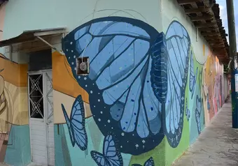 Tarde Libre en Tuxtla Gutiérrez y Restaurante Las Pichanchas_galeria_3599